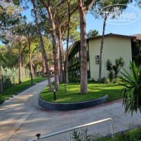 фото из отзыва ID 2188284