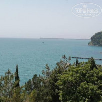 фото из отзыва ID 2188359