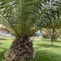 фото из отзыва ID 2188579