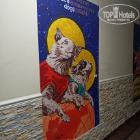 фото из отзыва ID 2188805