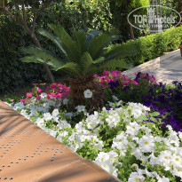 фото из отзыва ID 2188987