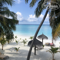 фото из отзыва ID 2189021