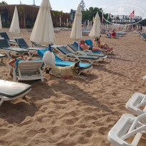 фото из отзыва ID 2189025