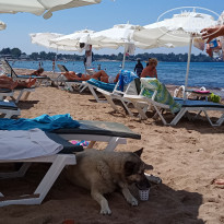 фото из отзыва ID 2189025