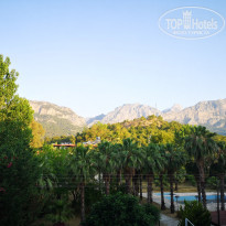 фото из отзыва ID 2189065