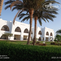 фото из отзыва ID 2189183