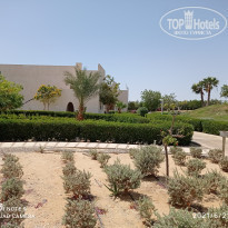 фото из отзыва ID 2189183