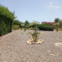 фото из отзыва ID 2189183