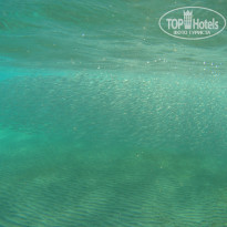 фото из отзыва ID 2189183