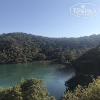 фото из отзыва ID 2189285