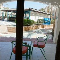 фото из отзыва ID 2189284