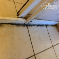 фото из отзыва ID 2189326