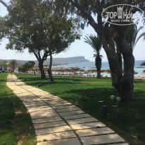 фото из отзыва ID 2189339