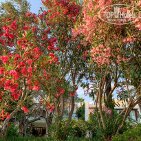 фото из отзыва ID 2189507