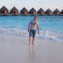 фото из отзыва ID 2189540