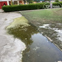 фото из отзыва ID 2189534