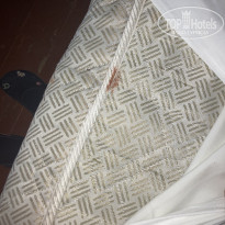 фото из отзыва ID 2189534