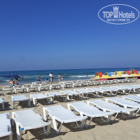 фото из отзыва ID 2189550