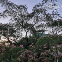 фото из отзыва ID 2189550