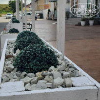 фото из отзыва ID 2189593