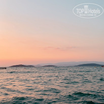 фото из отзыва ID 2189636