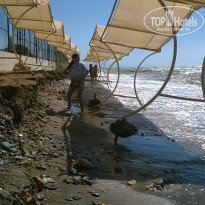 фото из отзыва ID 2189699