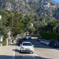 фото из отзыва ID 2189761