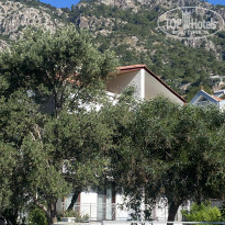 фото из отзыва ID 2189761