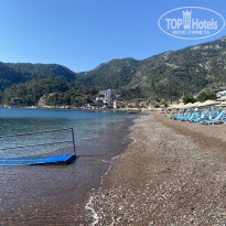 фото из отзыва ID 2189761