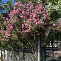 фото из отзыва ID 2189761