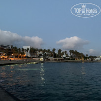 фото из отзыва ID 2188936