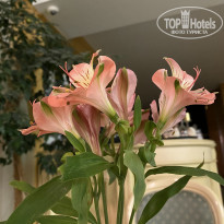 фото из отзыва ID 2189911