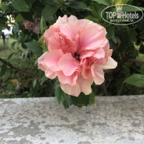 фото из отзыва ID 2189932