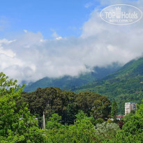 фото из отзыва ID 2186999