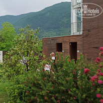 фото из отзыва ID 2186999