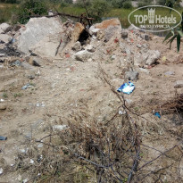 фото из отзыва ID 2185432