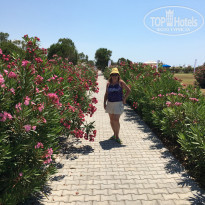 фото из отзыва ID 2190020