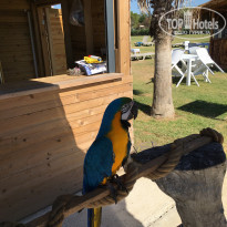 фото из отзыва ID 2190020