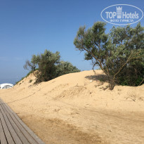 фото из отзыва ID 2190053