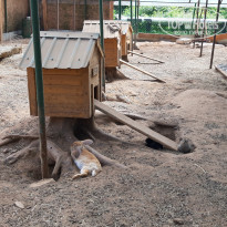 фото из отзыва ID 2190070