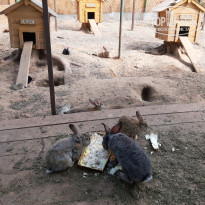 фото из отзыва ID 2190070