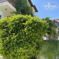 фото из отзыва ID 2190212