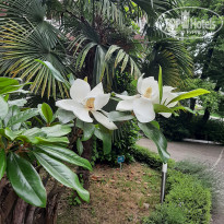 фото из отзыва ID 2190327