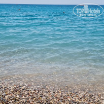 фото из отзыва ID 2190153