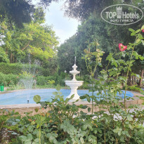 фото из отзыва ID 2190408