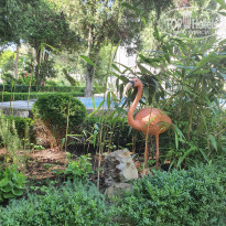 фото из отзыва ID 2190408