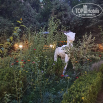 фото из отзыва ID 2190408