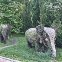 фото из отзыва ID 2190408