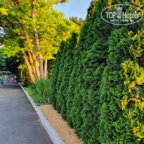 фото из отзыва ID 2190408