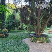 фото из отзыва ID 2190408